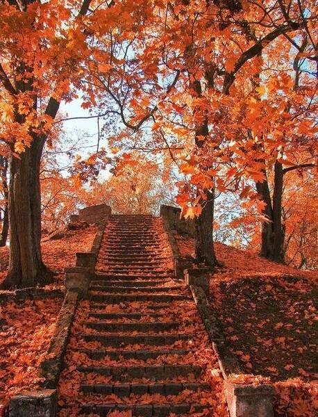 عکس پس زمینه منظره زیبا