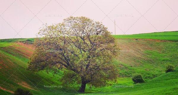عکس مناظر زیبای طبیعی ایران