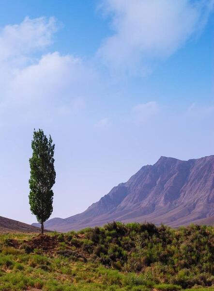 عکس منظره افقی و عمودی