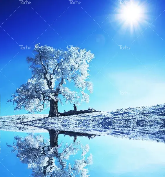 عکس منظره زمستان با کیفیت بالا