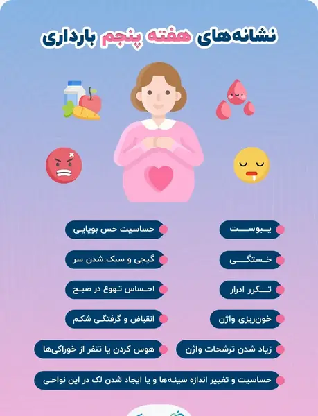 عکس لکه بینی هفته پنجم بارداری