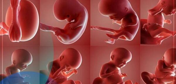 عکس لکه بینی هفته پنجم بارداری