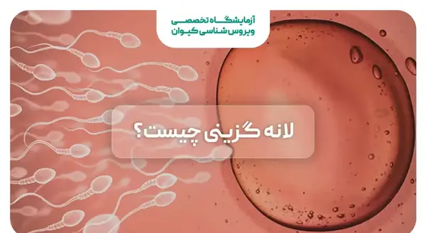 عکس لکه بینی حاملگی