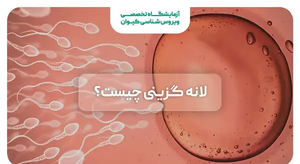 گزینی عکس لکه بینی در بارداری