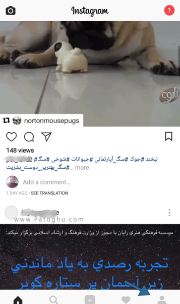 عکس های لایک شده در ویندوز