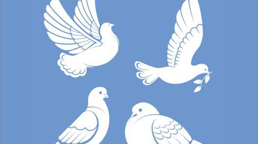 عکس کارتونی پرنده درحال پرواز