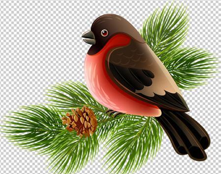 عکس کارتونی پرنده روی درخت