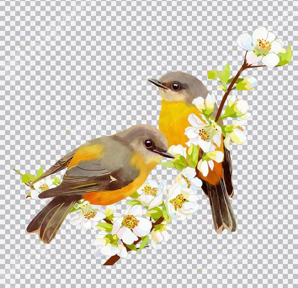 عکس کارتونی پرنده روی درخت