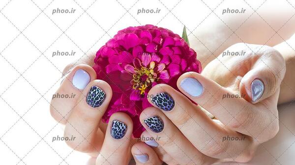 عکس دست لاک زده خوشگل طبیعی