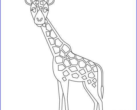 عکس زرافه کارتونی بامزه