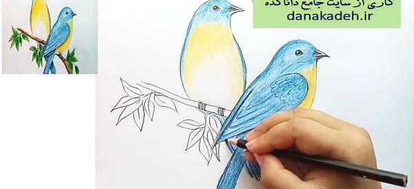 عکس کارتونی قناری زرد