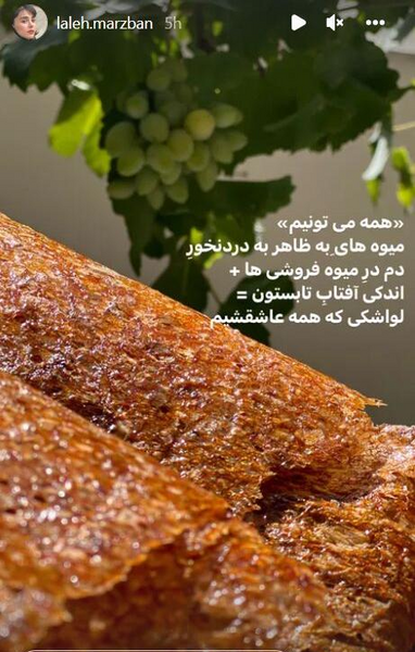 عکس از لواشک خانگی