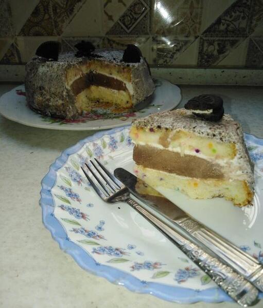 عکس کیک بستنی خانگی