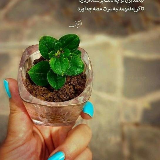 عکس لبخند بزنید