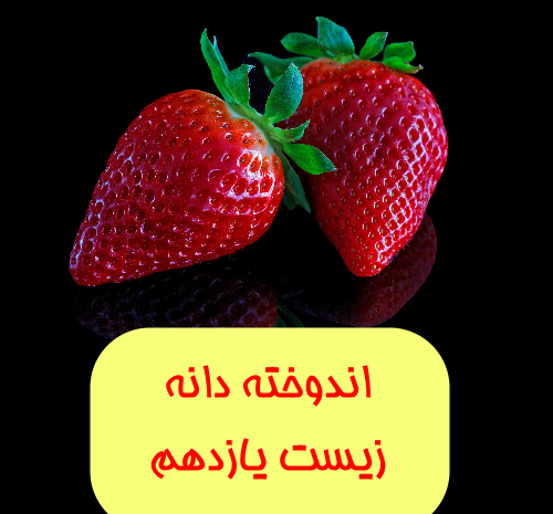 عکس دانه های تک لپه ای و دو لپه ای
