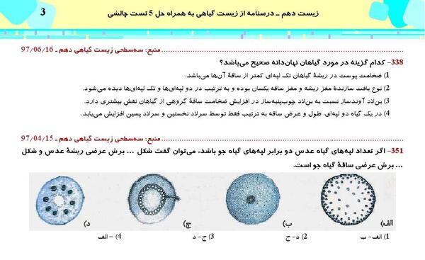 عکس ریشه گیاه تک لپه