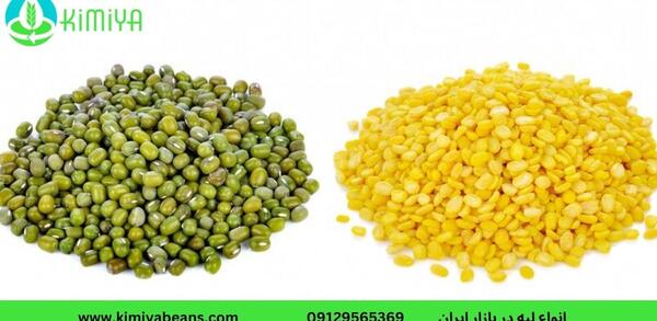 عکس دانه های دو لپه ای
