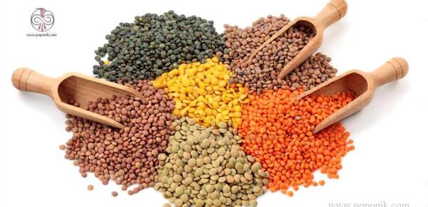 عکس دانه های دو لپه ای