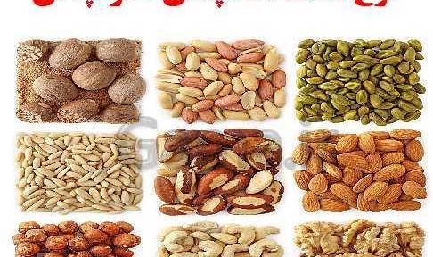 عکس گیاهان تک لپه ای و دو لپه ای