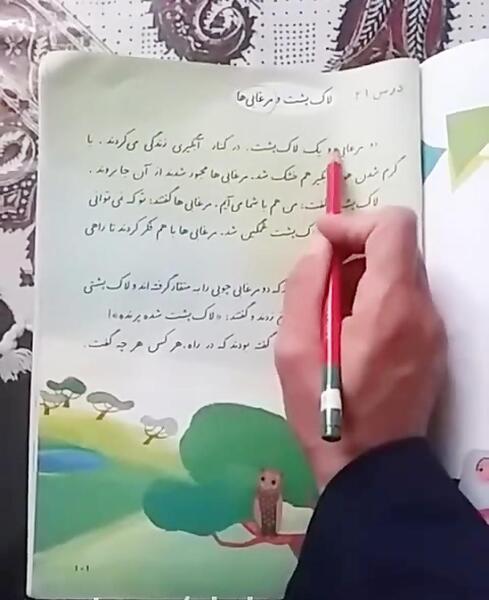 عکس درس لاک پشت و مرغابی ها