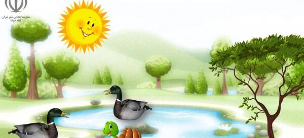 عکس درس لاک پشت و مرغابی ها