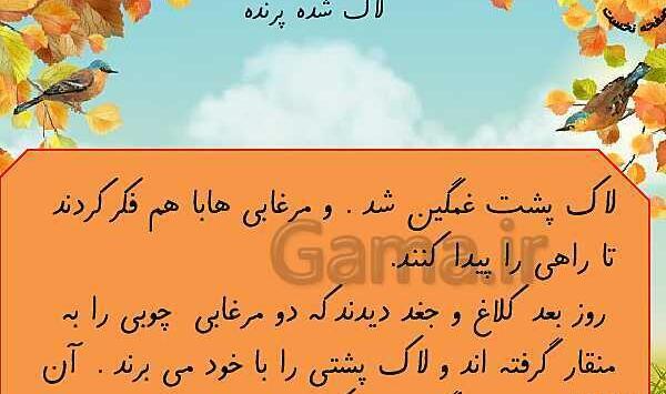 عکس درس لاک پشت و مرغابی ها