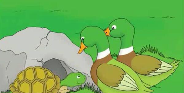 عکس درس لاک پشت و مرغابی ها