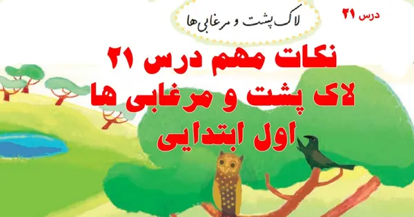 عکس درس لاک پشت و مرغابی ها