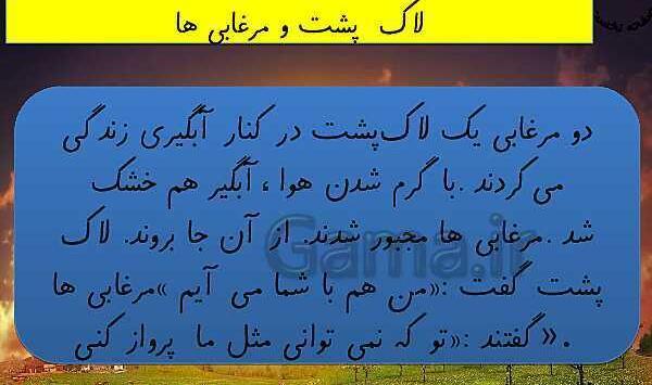 عکس درس لاک پشت و مرغابی ها