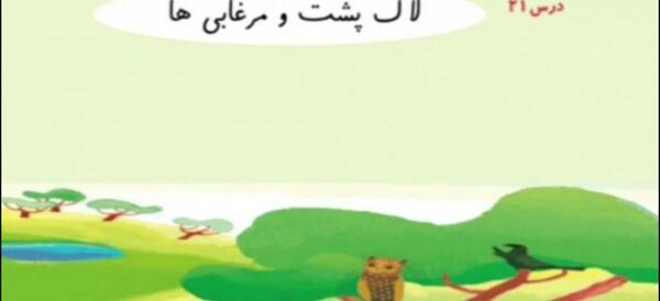 عکس درس لاک پشت و مرغابی ها