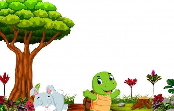 عکس لاک پشت خرگوش