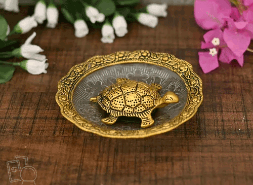 عکس لاک پشت برای کاردستی