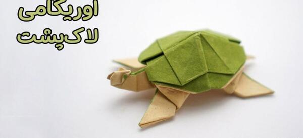 عکس لاک پشت برای کاردستی