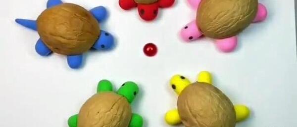 عکس لاک پشت برای کاردستی