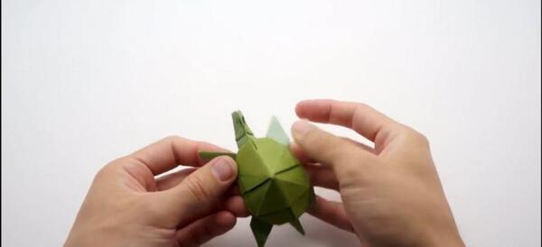 عکس از کاردستی لاک پشت