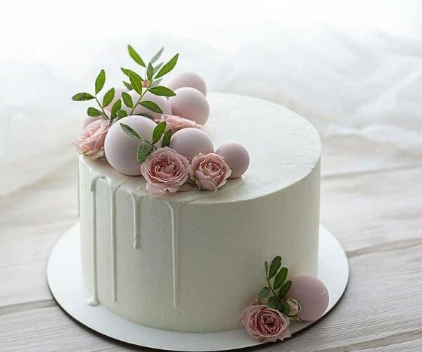 عکس کیک روز معلم ساده