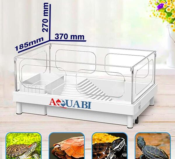 عکس لاک پشت ریزه میزه