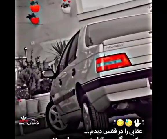 عکس ماشین شوتی با اهنگ لاتی