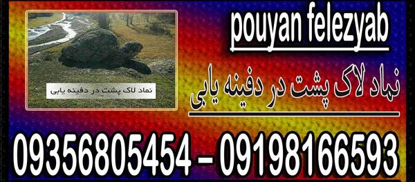 عکس لاک پشت خاکی بزرگ