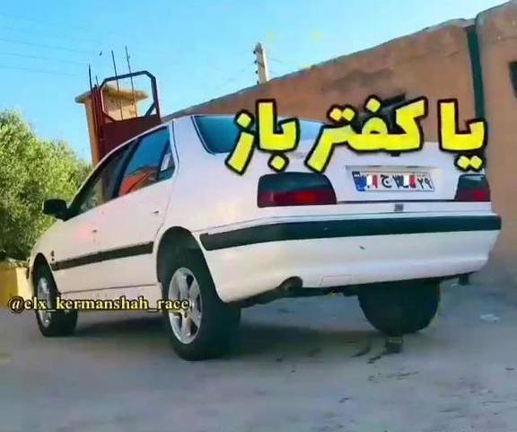 عکس کفتر لاتی برای پروفایل