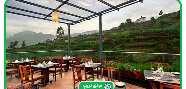 عکس کافه لاکچری روباز