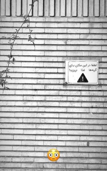 عکس لاکچری برای استوری