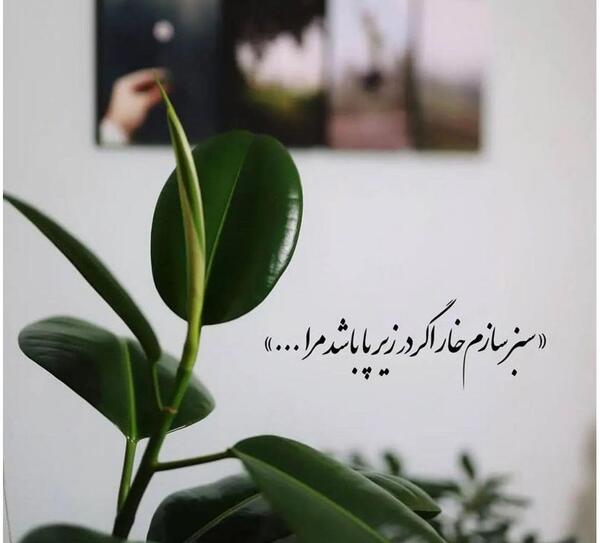 عکس لاکچری برای استوری