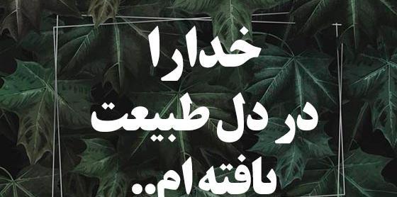 عکس لاکچری در طبیعت