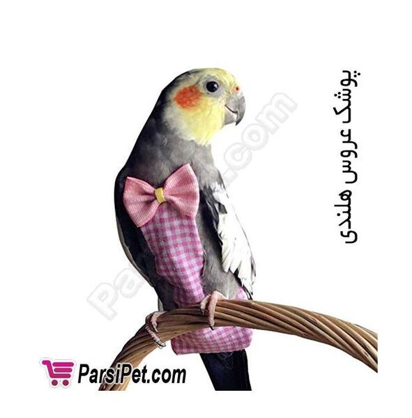 عکس لباس عروس هلندی ماده