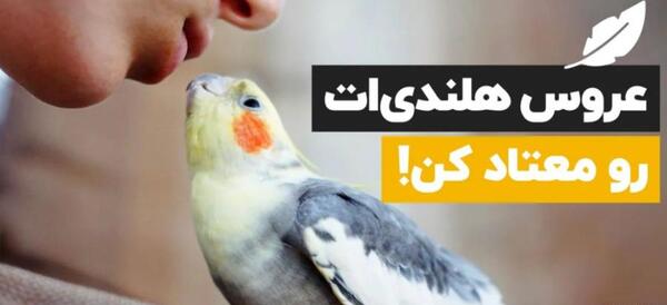 عکس عروس هلندی که لباس پوشیده