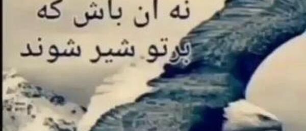 عکس نوشته لاتی معنی دار