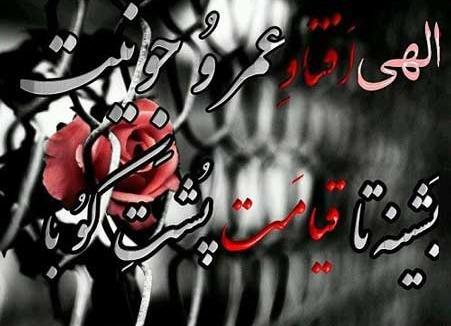 عکس پروفایل لری لاتی