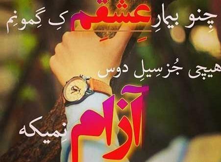 عکس پروفایل لری لاتی