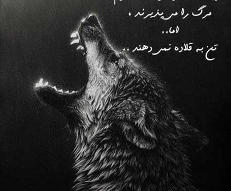 عکس نوشته لاتی گرگ